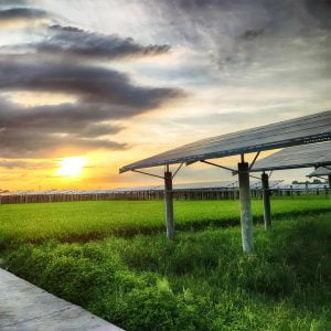 Tarımsal Sulama Güneş Enerji Sitemi Kurulumu